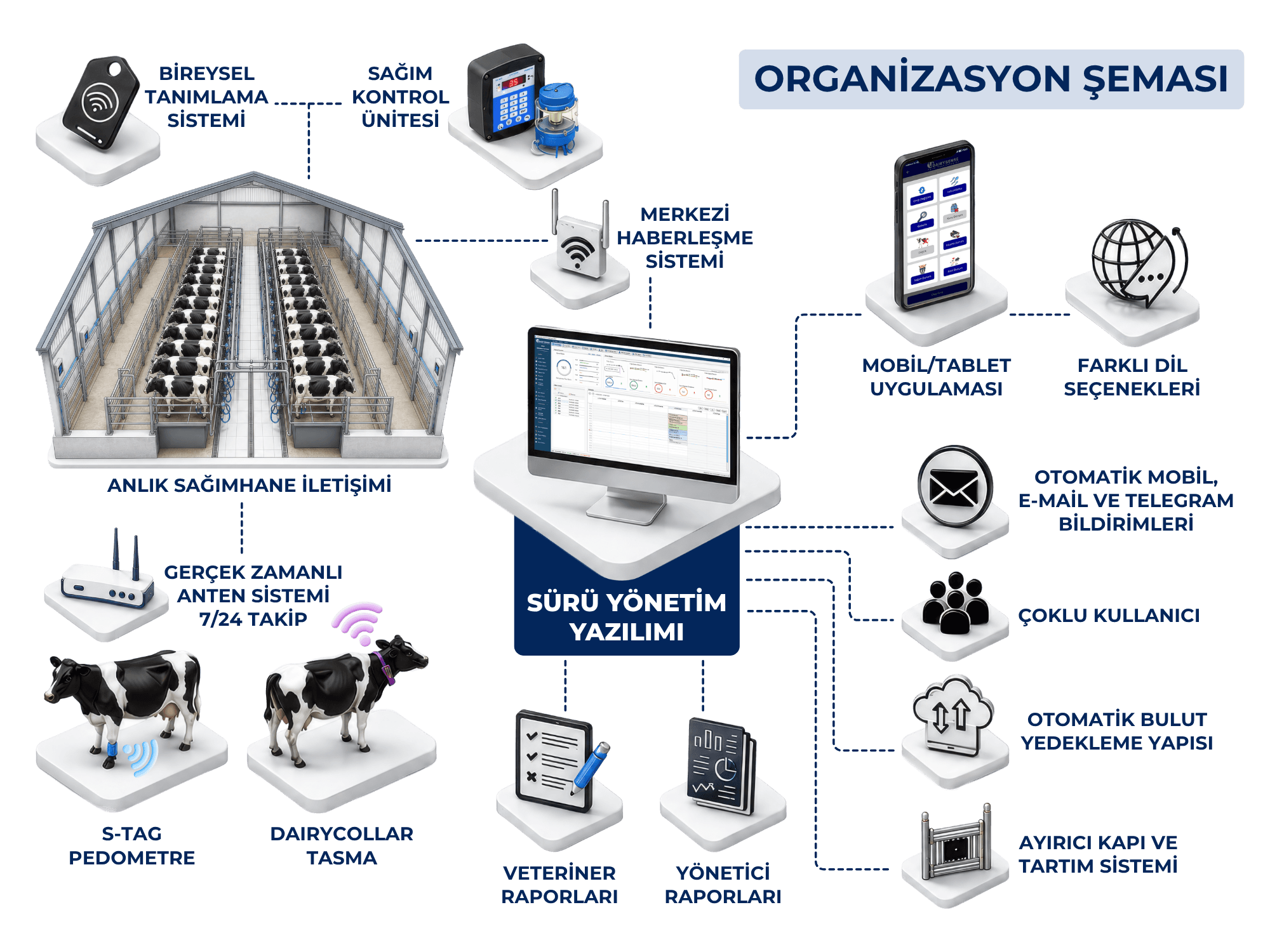 Dairysense sürü yönetim organizasyon şeması