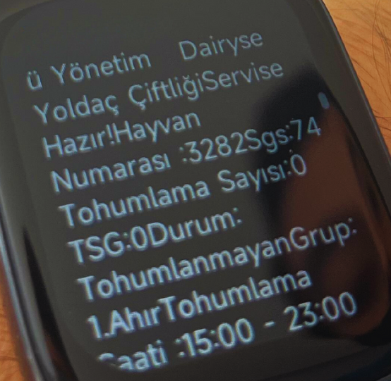 Arayüz