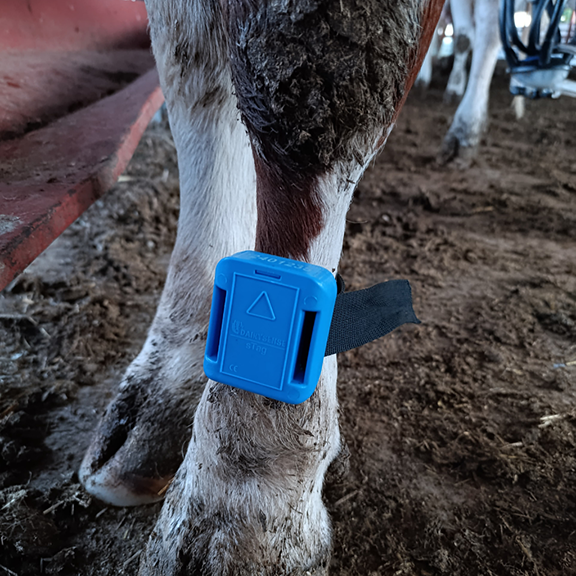 s-Tag – Cihaz